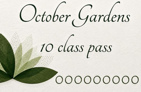 10 Class Pass