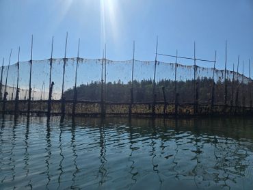 Fishing Weir