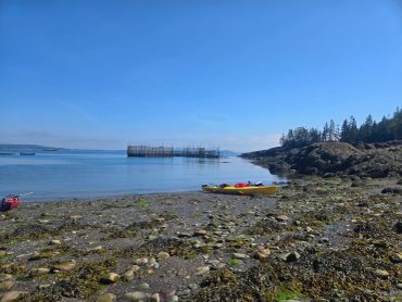 Fishing Weir and sea kayaks