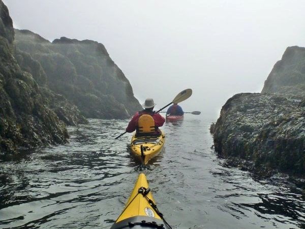 Kayakers paddling on a foggy day on the Bay of Fundy between rocks on the shoreline.