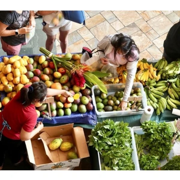 Kham Farms: Center Court every Sunday