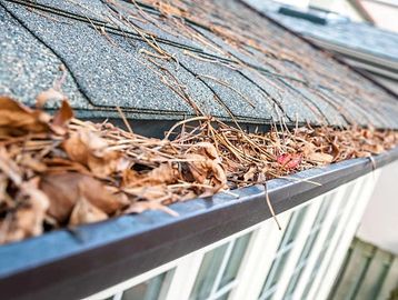Gutter filled with leaves