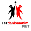tezdanismanim.net