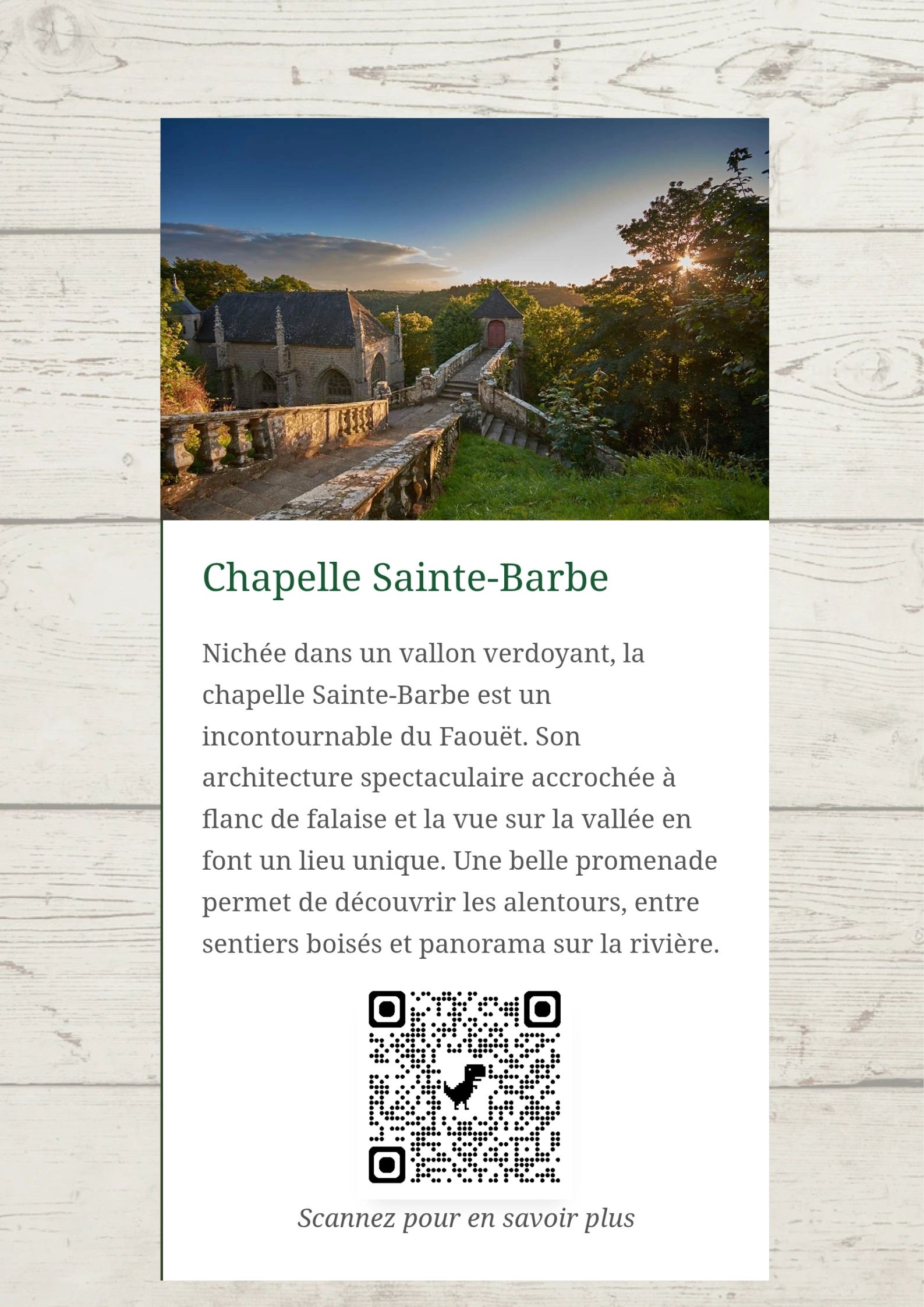 🌳🏊🏻‍♀️🎬Petit guide des sorties pour les parents durant le temps de stage de soutien scolaire.