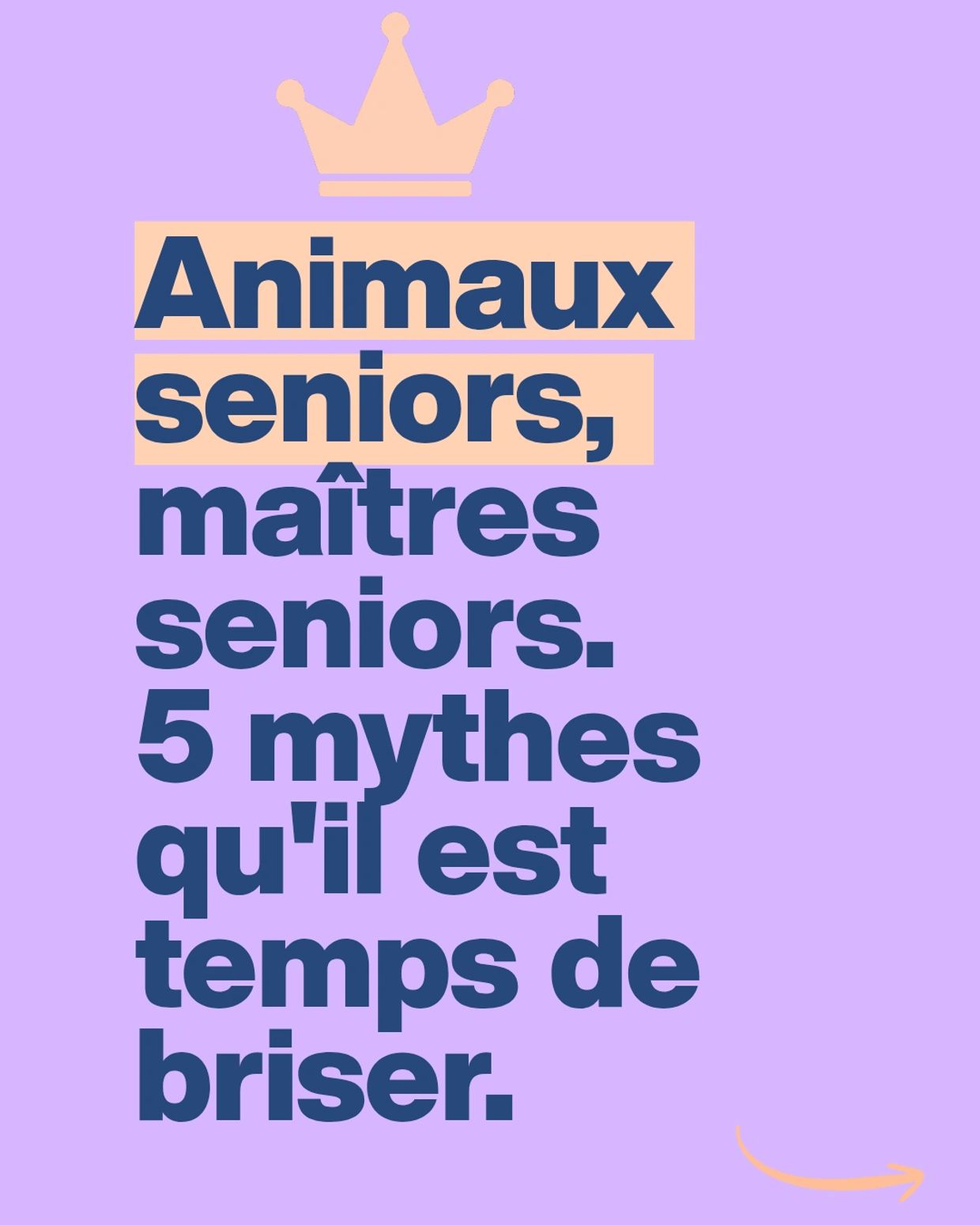 Animaux seniors et maître senior, accompagnement à domicile, services à domicile, pet sitting, 