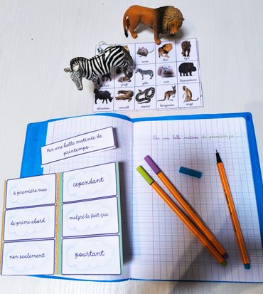 Soutien scolaire et renforcement scolaire
Lorient, Quimperlé, Le Faouët