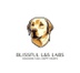 L&S Labs