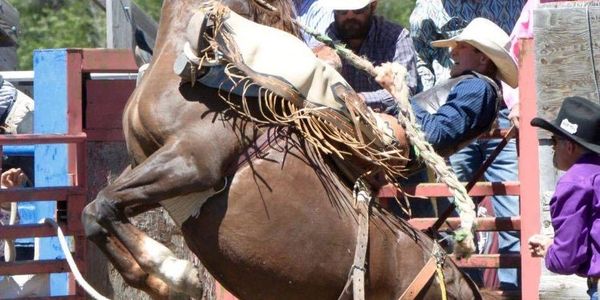 Visit Mackay Idaho Mackay Rodeo