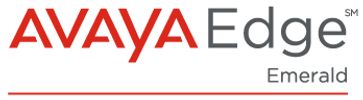 Avaya Business Partner