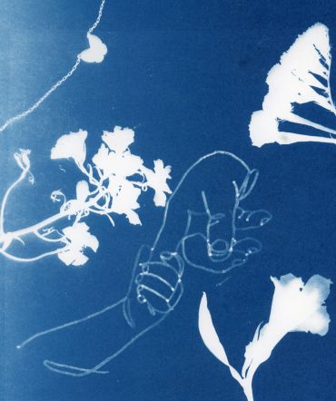 A cyanotype featuring outlines of a hand holding a finger and various flowers.