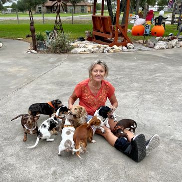  At Mini Me Miniatures, we are dedicated to breeding dachshunds that are not only healthy and happy 