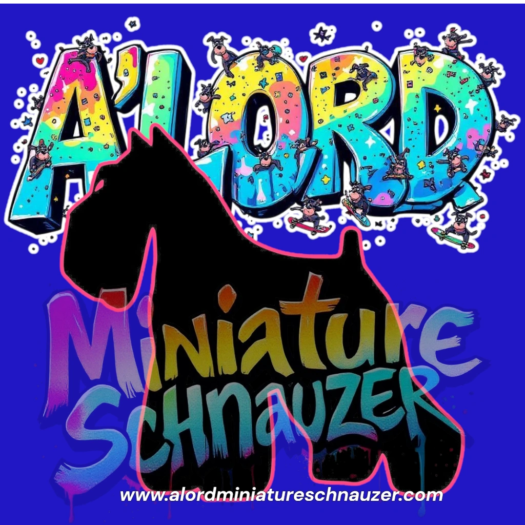 Top miniature schnauzer of Massachusetts 