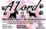 Minature Schnauzer breeder Since 1986