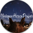 Unique HorsePower