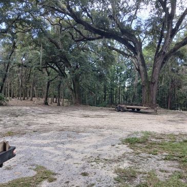 Forest clearing with a trailer and dense trees.