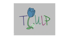 Tulp World Inc