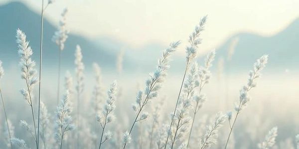 Soft white grasses sway gently in a misty, serene landscape.
