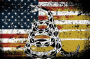 LaSalle County Tea Party