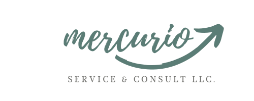 Mercurio Service & Consult LLC