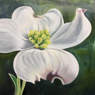 SOLD but prints are available

Dogwood
Oil on Canvas
36x36

1650