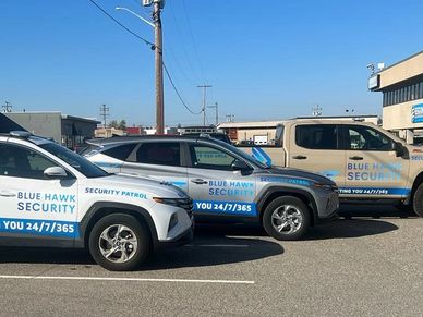 Blue Hawk Security Mobile Patrol