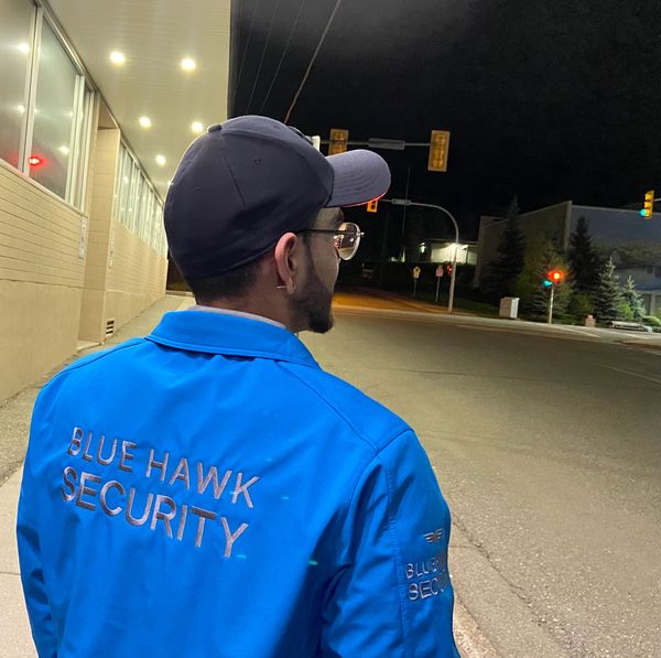 Blue Hawk Security
