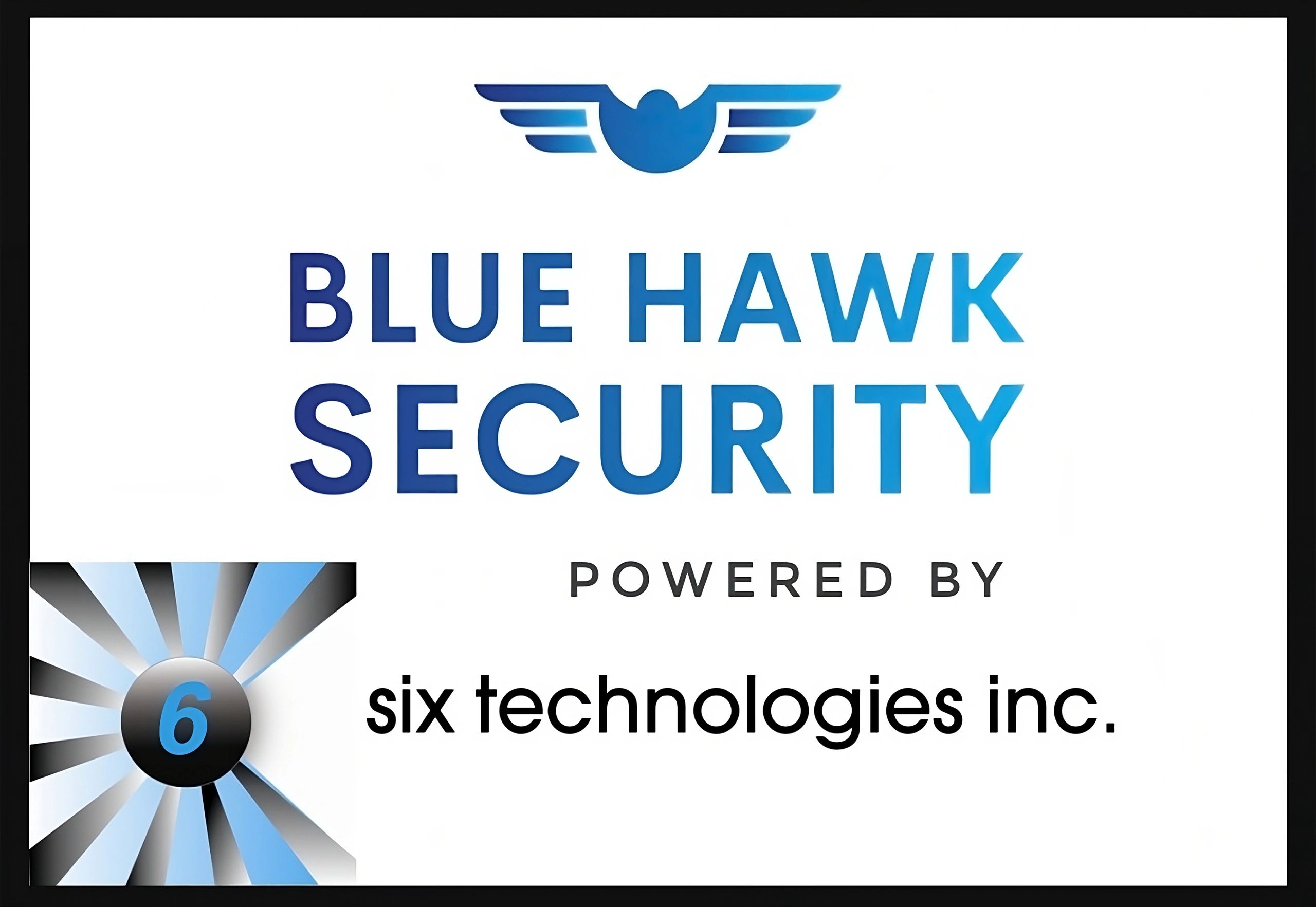 Blue Hawk Security live video monitoring