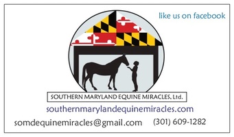 Southern Maryland Equine Miracles