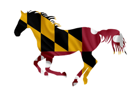 Southern Maryland Equine Miracles