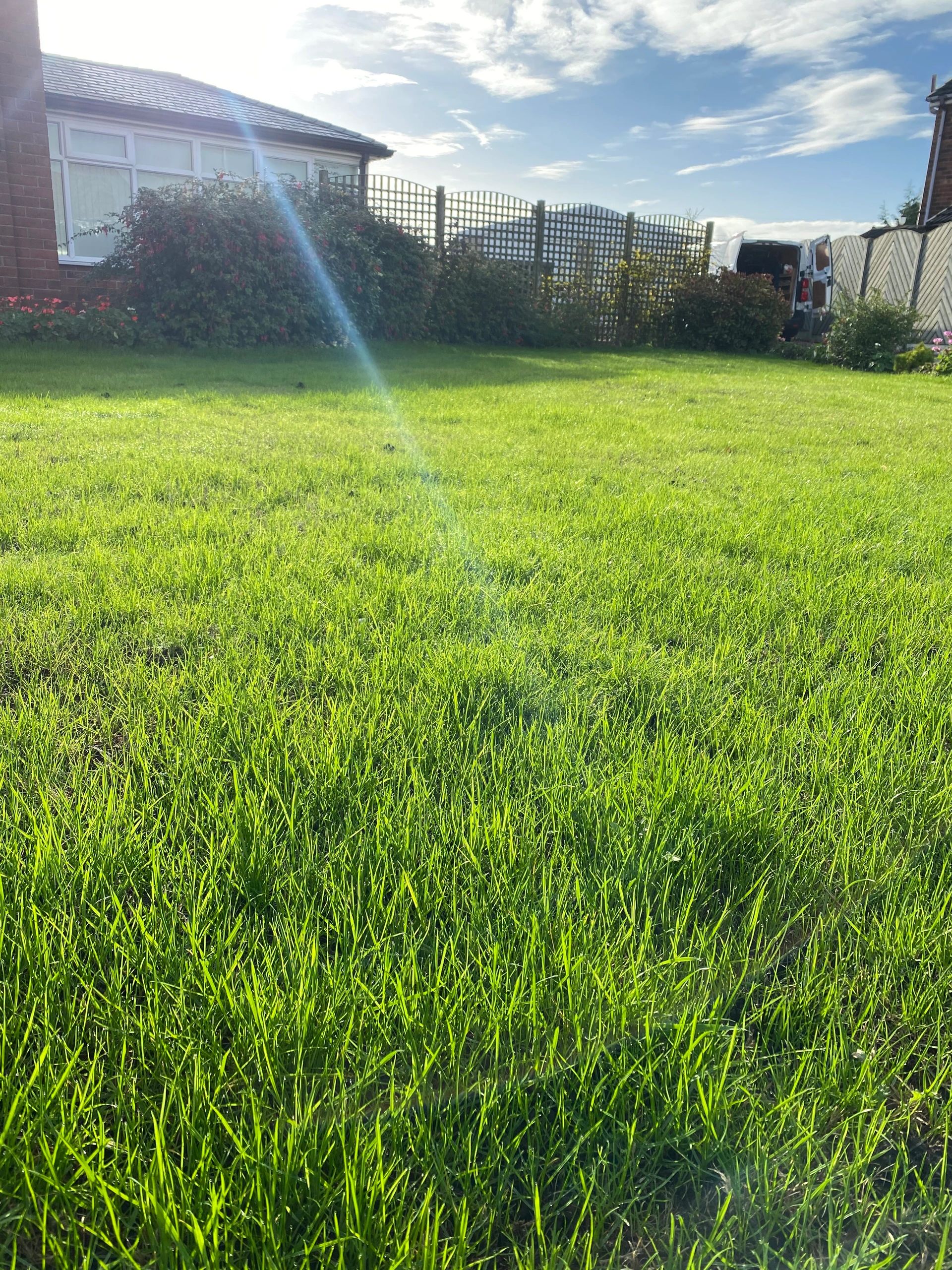 Complete Lawn Renovation