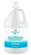 Gallon Sanitizer with Pump Top