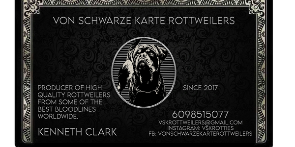 VSKRottweilers- What is vskrottweilers?