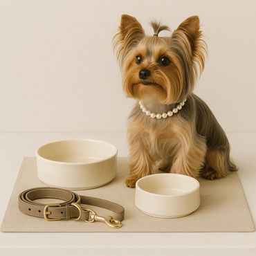 The Luxe Pet Edit, 