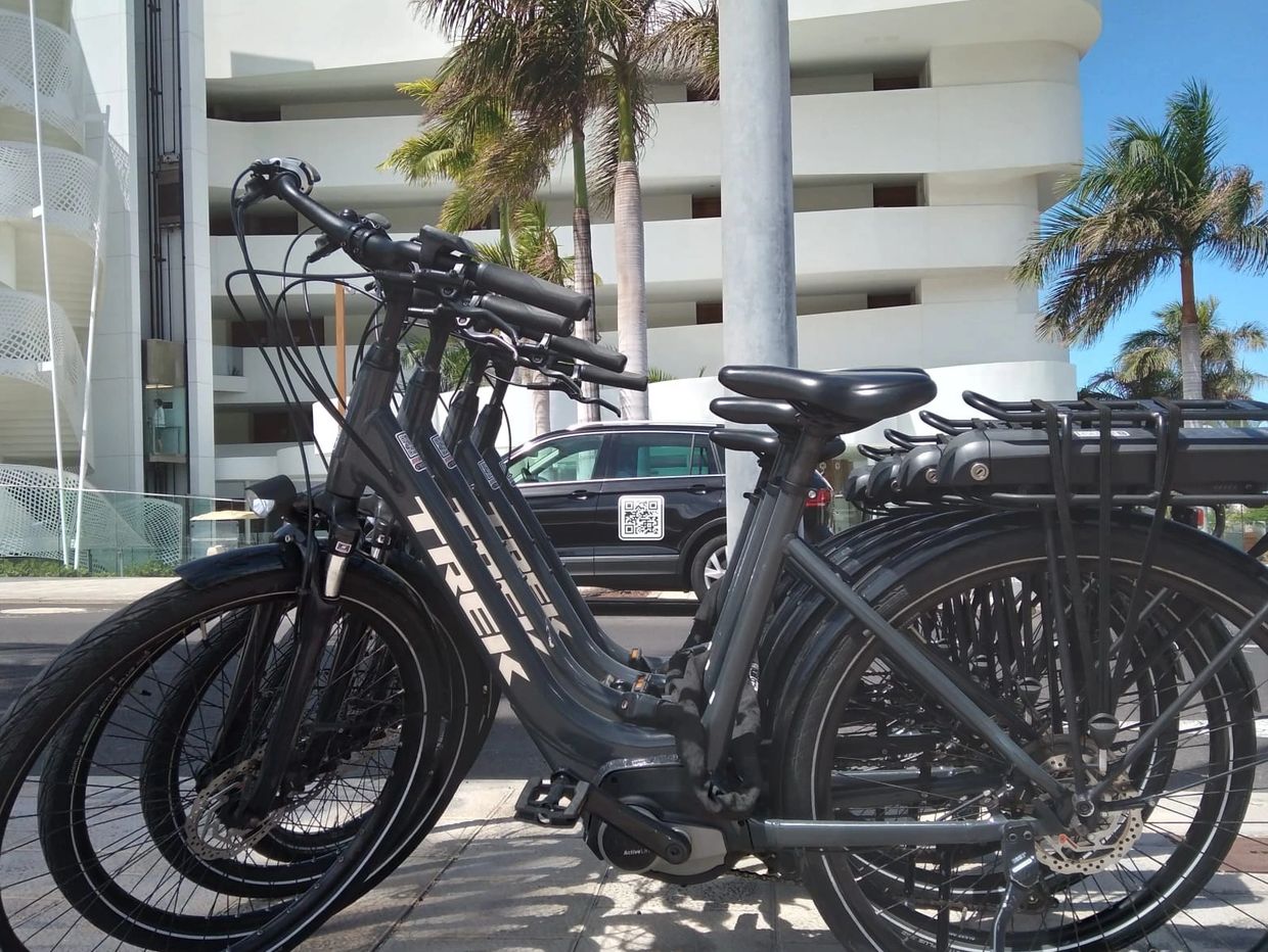 A row of black Trek electric bikes parked on a sunny sidewalk.