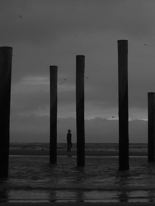 Silhouetted figures stand among tall wooden posts on a dark, cloudy beach.