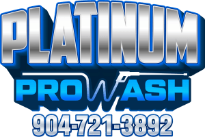 Platinum ProWash