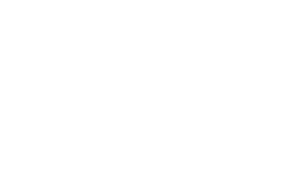 LAND OF OZ LTD.