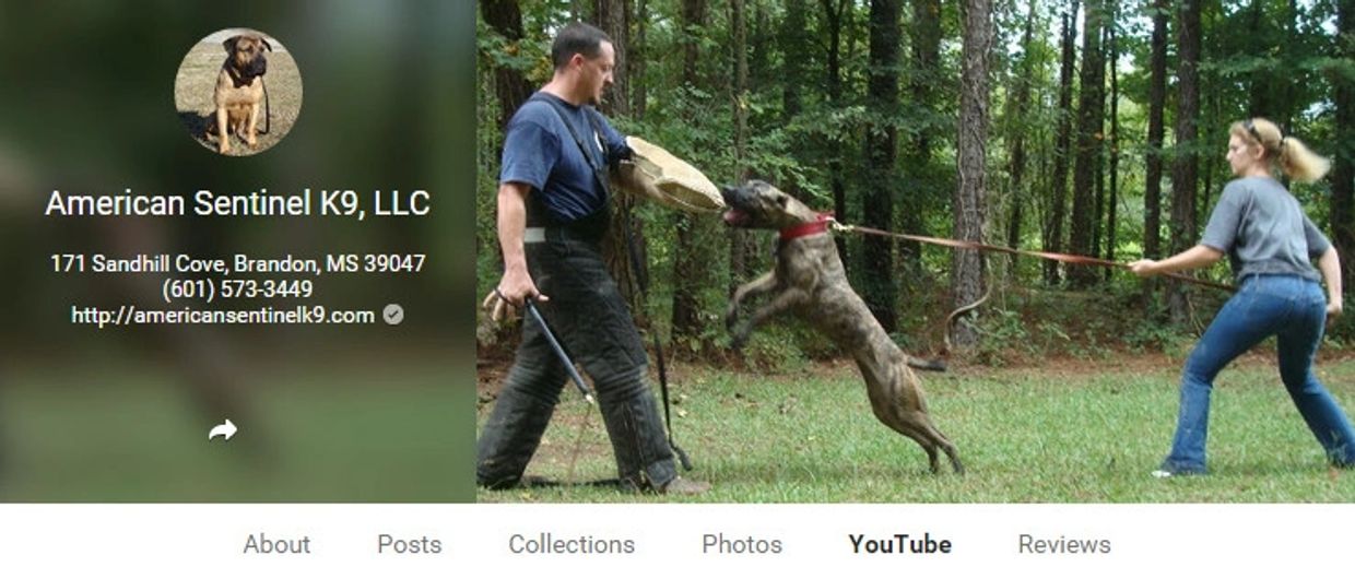 Bandog YouTube Channel by American Sentinel K9, LLC