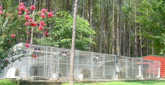 Some of the kennels at American Sentinel K9, LLC