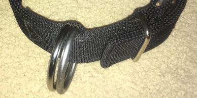 heavy duty collar, Protection bandog, American bandog, American Bandogge, American Sentinel K9