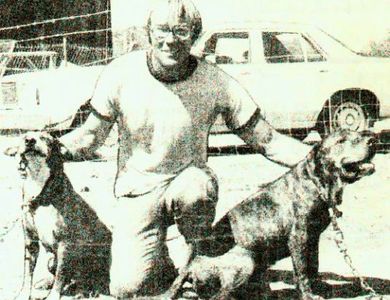 Pat Patrick APBT, American Pit Bull Terrier, pit bull, pit bull, Bolio, Tombstone