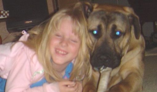 American Sentinel Bandog with children