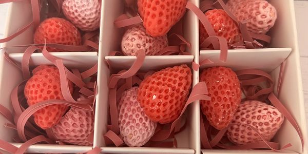Box of red and pink strawberries separated by compartments.