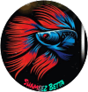 Shameez Betta Aquarium