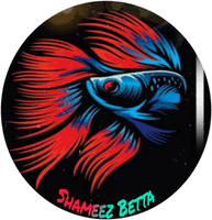 Shameez Betta Aquarium