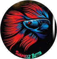 Shameez Betta Aquarium