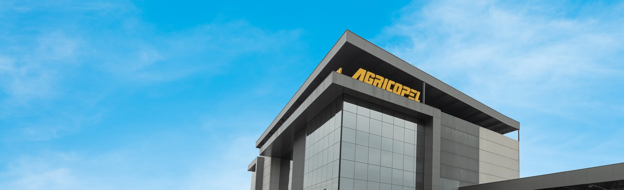 Agricopel Comercio de Derivados de Petroleo Ltda