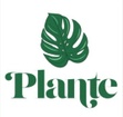 Plante 