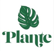 Plante 