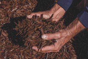 brown mulch